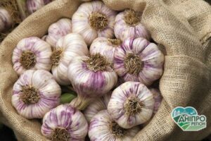 8 дивовижних фактів про користь часнику