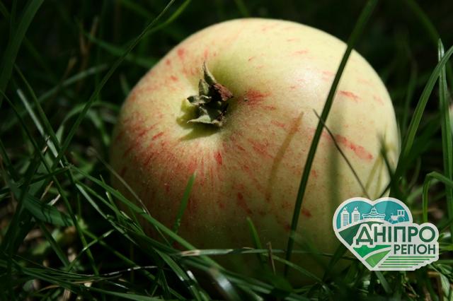 Україна на третьому місті між Бразилією та Китаєм серед експортерів Україна на третьому місті між Бразилією та Китаєм серед експортерів