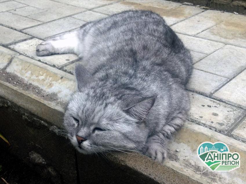 Яка погода очікується 4 березня у Дніпрі та регіоні