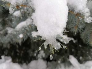 В Україні 29-31 січня очікується різке погіршення погодних умов