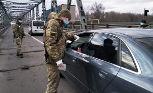 Домашні тварини можуть бути проміжними носіями коронавірусу