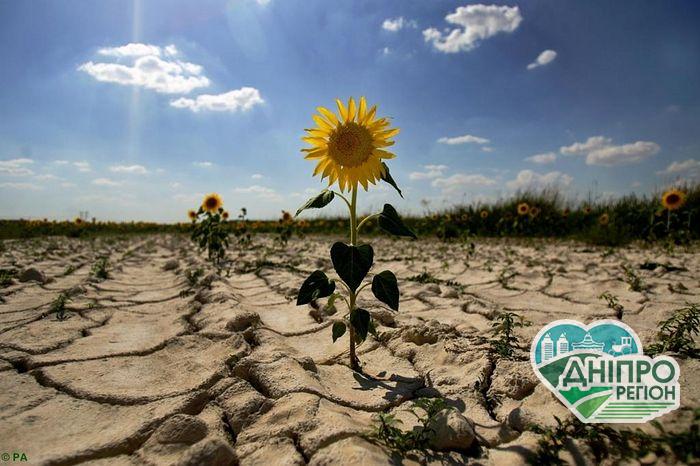 В Україні зберігається ризик весняної засухи, – Укргідрометеоцентр