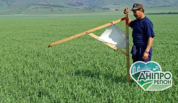 Як будуть розпайовані землі підприємств, які підлягають приватизації