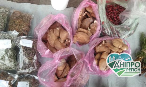 В Україні вже продають лісові гриби