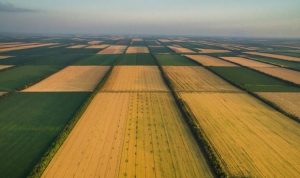 Власники можуть втратити невитребувані паї