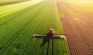 В 2020 році зростуть витрати аграріїв на захист рослин та отрутохімікати