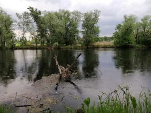 На Дніпропетровщині інвентаризують шкідливі викиди у водойми
