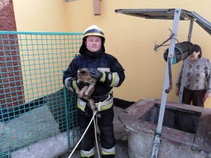У Дніпрі надзвичайники врятували котика з шестиметрового колодязя. Милі фото