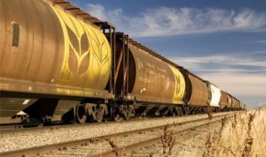 Спрогнозовано експорт зерна з України в 2020 році