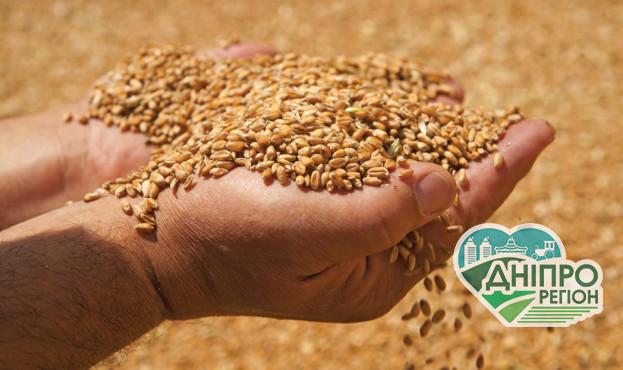 В Україні експорт зернових збільшився на 25%