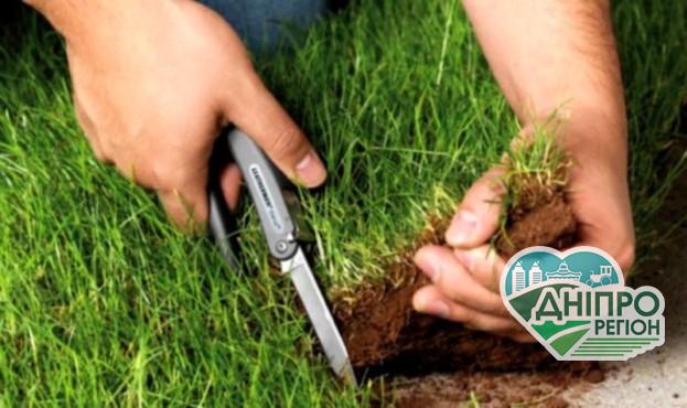 З державної власності України були виведені 3 млн га землі