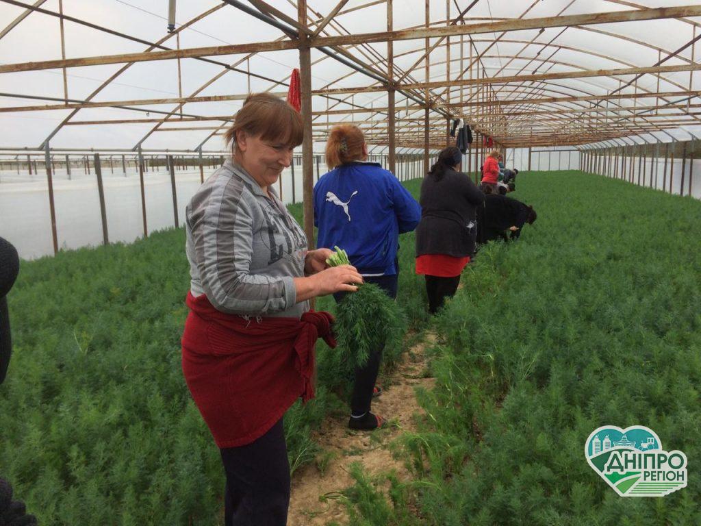 Як грузинські фермери допомагають пенсіонерам протистояти коронавірусу Як грузинські фермери допомагають пенсіонерам протистояти коронавірусу