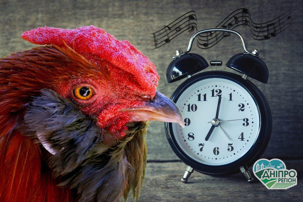 Перехід на літній час 2020: коли переводимо стрілки годинників