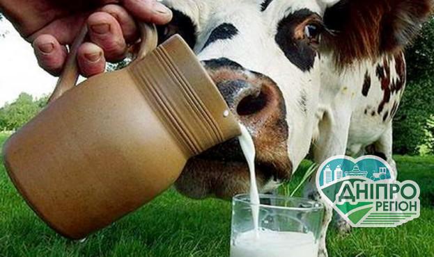 Названо середній надій молока на корову в Україні