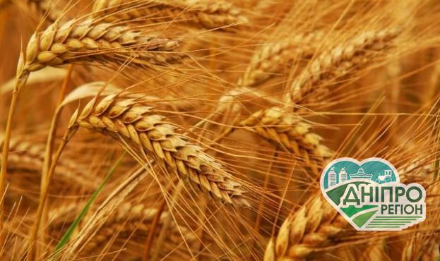 Названо регіони-антилідери України з порушень земельного законодавства Названо регіони-антилідери України з порушень земельного законодавства. Дніпро Регіон.