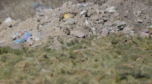 У Дніпрі ліквідовують стихійні звалища (Фото)