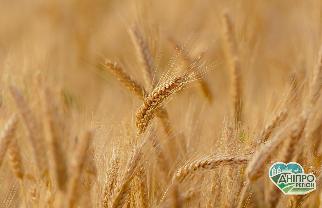 Податок на дохід від оренди сільгоспземель: що пропонують у ВР