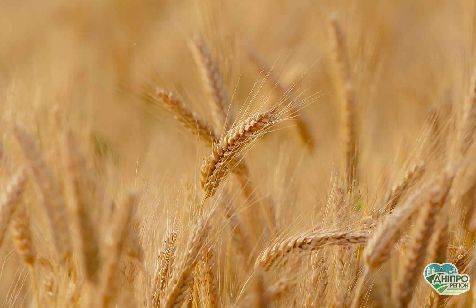 Податок на дохід від оренди сільгоспземель: що пропонують у ВР