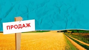 Законопроєкт про обіг земель ухвалено: хто тепер має право купити