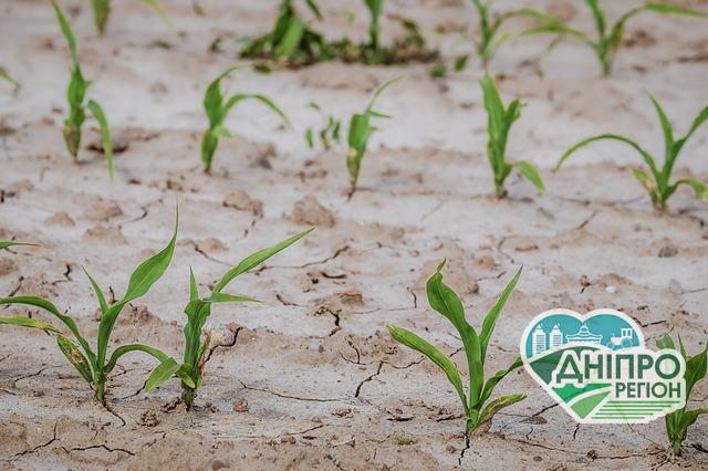 Держводагентство вперше може обмежити права водокористувачів