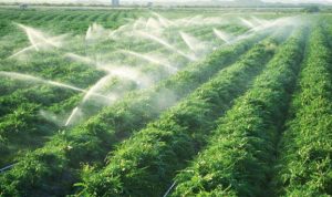 В Україні скоротять ліміти води на зрошення