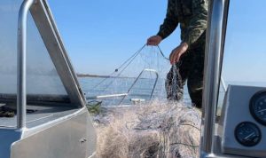 На Дніпрі браконьєри виставляють кілометрові сітки попри нерест