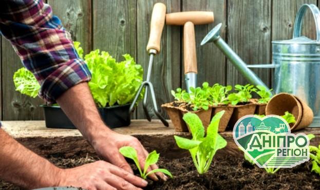 В Україні прогнозується розквіт домашніх господарств В Україні прогнозується розквіт домашніх господарств