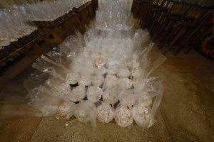 Великдень удома: дніпрянам доставлять 38 тисяч освячених пасок