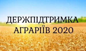Оприлюднено повний перелік держпідтримки аграріям на 2020 рік