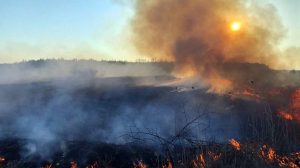 На Дніпропетровщині оголосили попередження про надзвичайну пожежну небезпеку