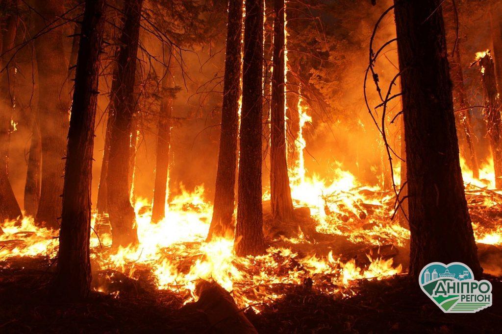 В Україні збільшили штрафи за знищення екосистеми В Україні збільшили штрафи за знищення екосистеми