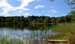 В Україні названо кількість водойм, які експлуатують без оформлення оренди