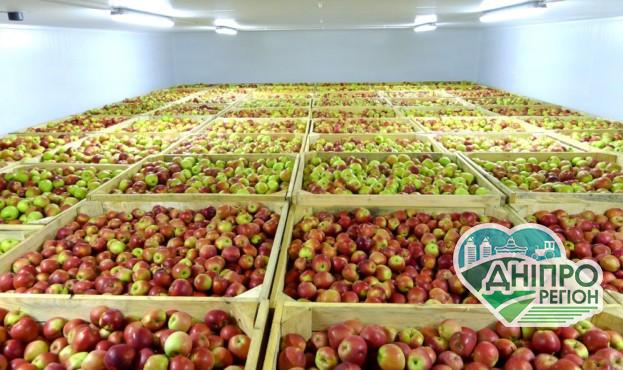 В Україні фермери змушені викидати продукцію через дефіцит сховищ та переробки