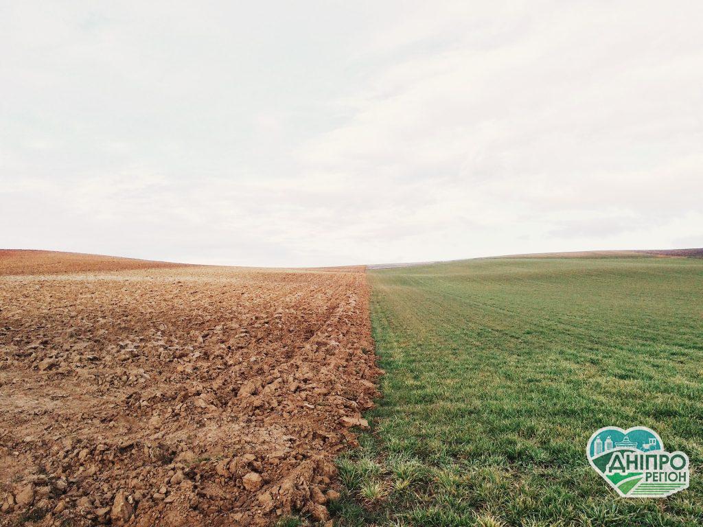 На Дніпропетровщині прокуратура вимагає від фермерського господарства повернути громаді земельну ділянку