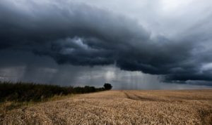 Стало відомо, у яких регіонах України відступила посуха