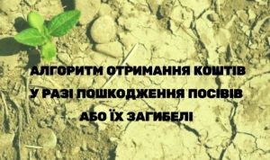 Названо алгоритм отримання коштів у разі пошкодження посівів або їх загибелі