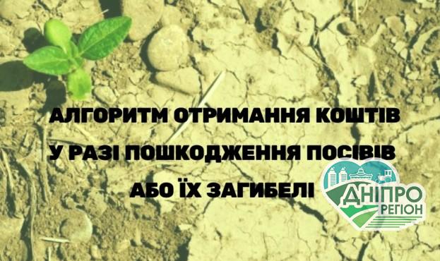 Названо алгоритм отримання коштів у разі пошкодження посівів або їх загибелі Названо алгоритм отримання коштів у разі пошкодження посівів