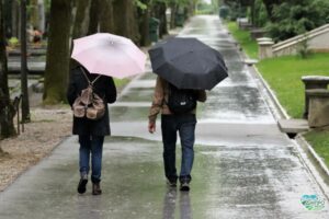 Заморозки та дощі: погода на вихідні у Дніпрі та області