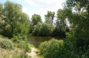 Громаді Дніпра повернули земельну ділянку