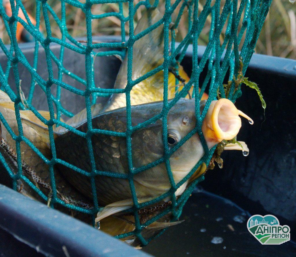 Корупція в Держрибагентстві: рибалки погрожують масштабним протестом Корупція в Держрибагентстві: рибалки погрожують масштабним протестом