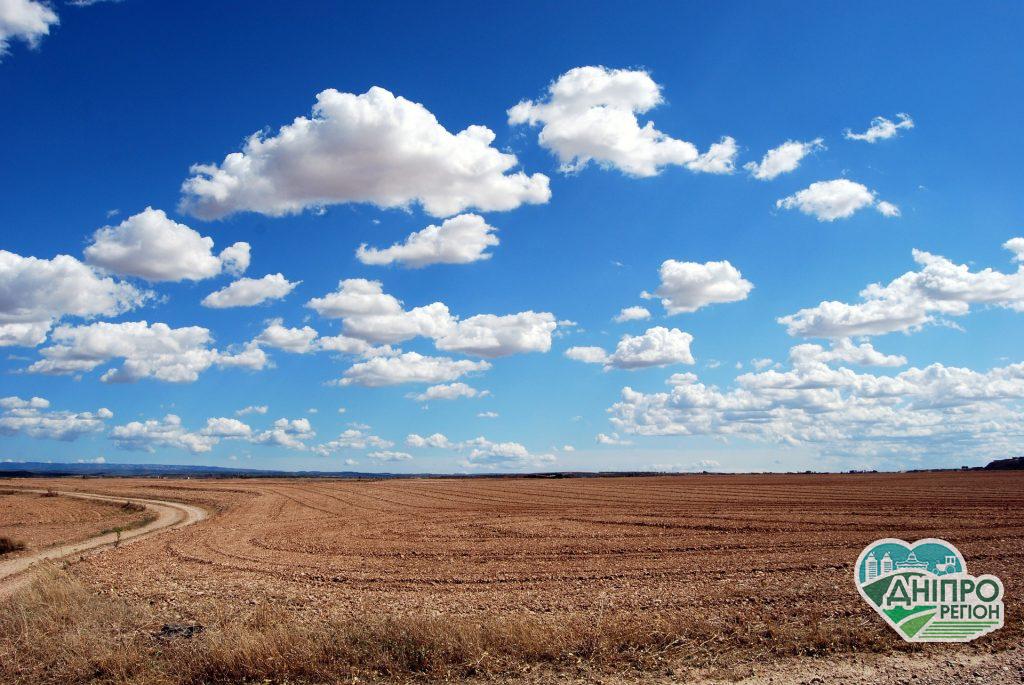 На Дніпропетровщині прокуратура вимагає від фермерського господарства повернути громаді земельну ділянку