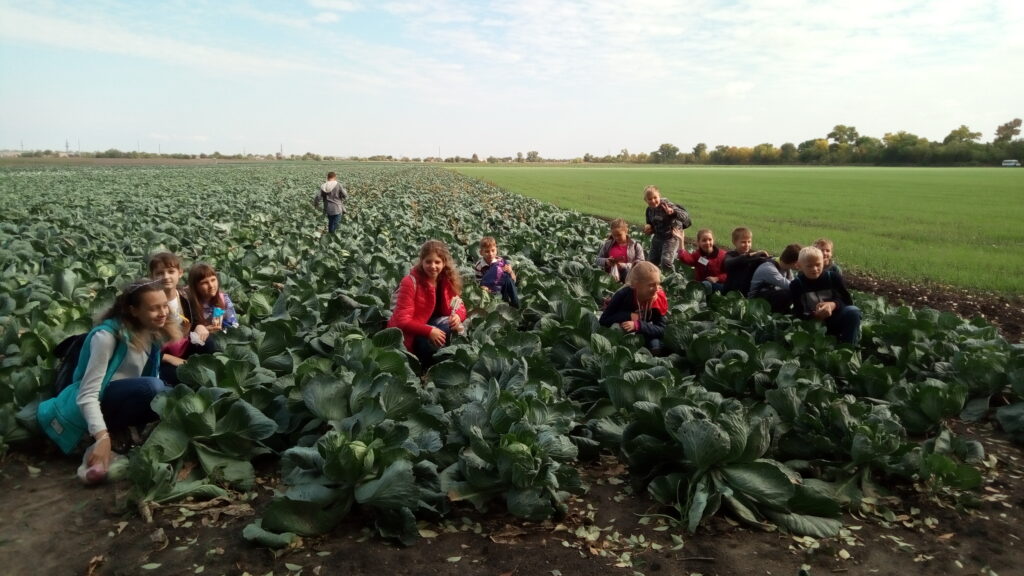 Дніпровські дива: “Відродження” у Петриківці Дніпровські дива: Відродження у Петриківці