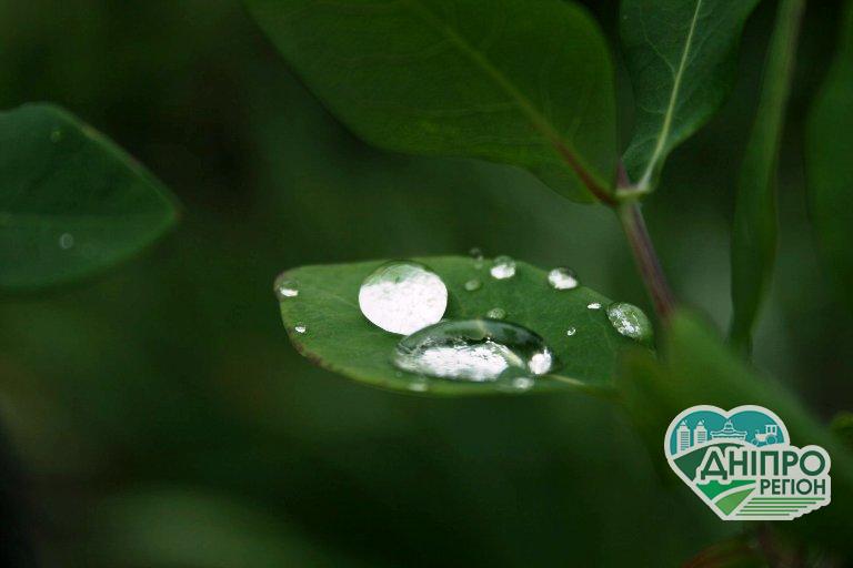 Укргідрометцентр знову обіцяє мешканцям Дніпропетровщини спекотний день. Укргідрометцентр знову обіцяє мешканцям Дніпропетровщини спекотний день.