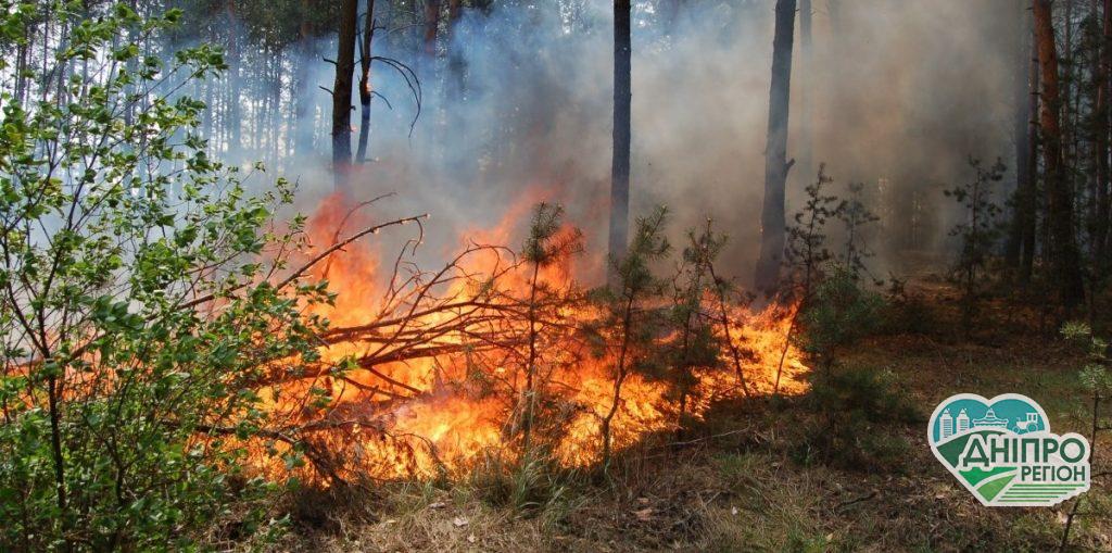 На Дніпропетровщині 37 пожеж за добу: Як люди знищують у вогні свою землю