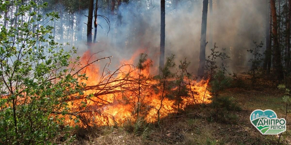 На Дніпропетровщині 37 пожеж за добу: Як люди знищують у вогні свою землю