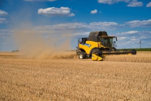 Жнива-2020: Дніпропетровщина у трійці лідерів