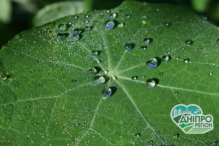 Прогноз погоди на 1 серпня: хмари, дощ і комфортна температура Прогноз погоди на 1 серпня: хмари, дощ і комфортна температура