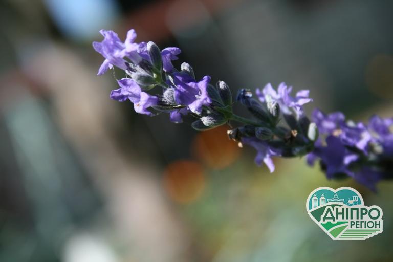 Прогноз погоди на 31 липня: В останній день липня нарешті спаде спека Прогноз погоди на 31 липня: В останній день липня нарешті спаде спека