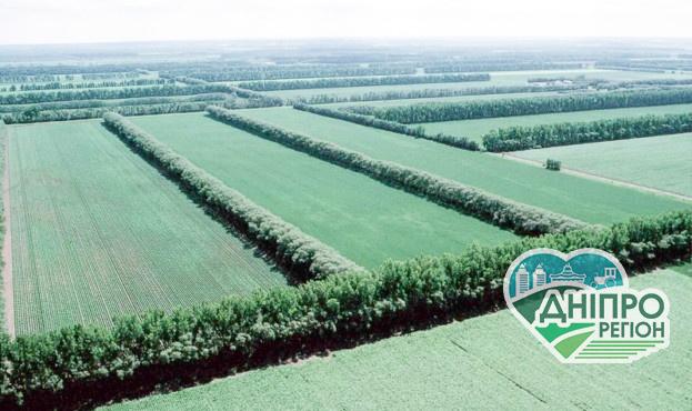 В Україні запустили проєкт з відновлення лісосмуг