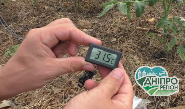 В Україні студент створив систему контролю мікроклімату у теплицях В Україні студент створив систему контролю мікроклімату у теплицях